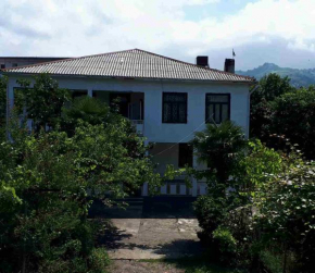  Avto House  Батуми